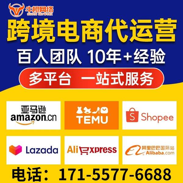 崇州电商代运营