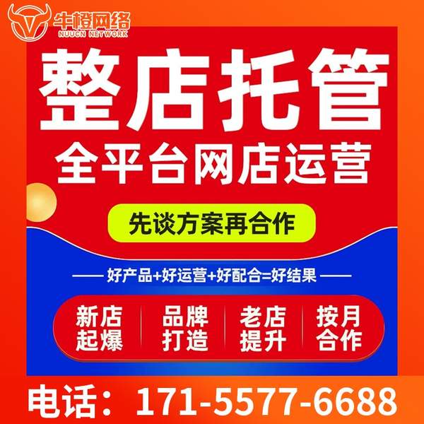 崇州电商代运营