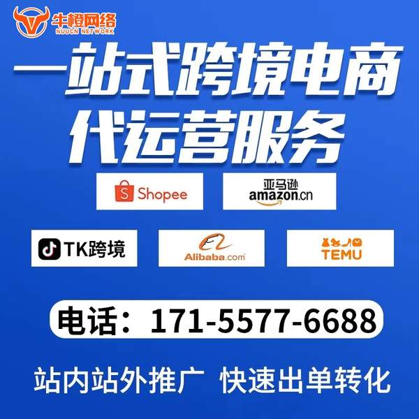 崇州电商代运营